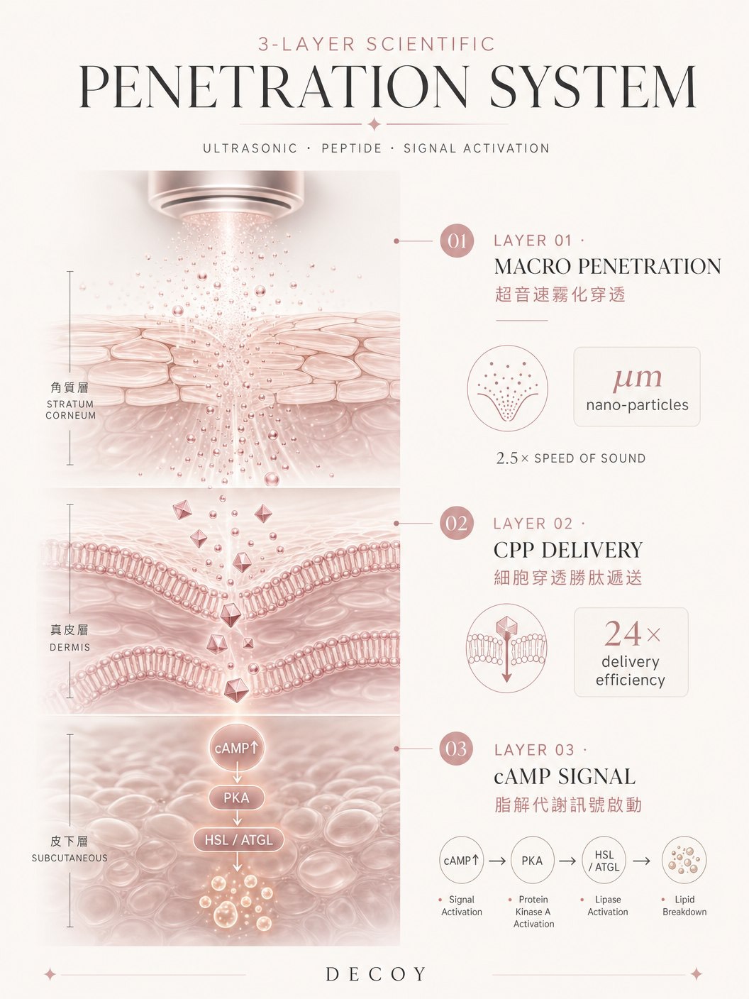 DECOY 三層科學穿透系統